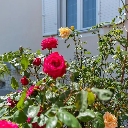 Summer House Apartman