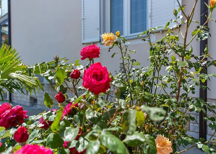 Summer House Apartman